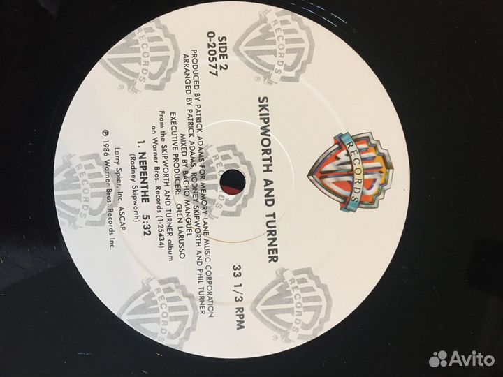 Пластинка Skipworth And TurnerWont Get No Better