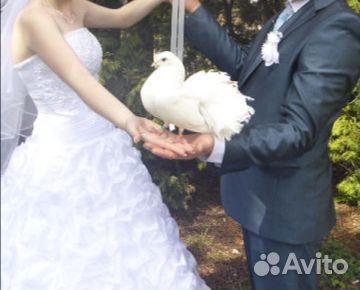 Счастливое платье