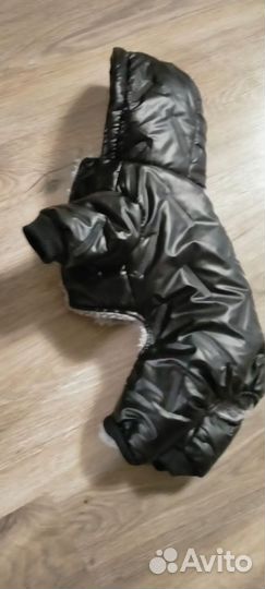 Одежда для маленьких собак