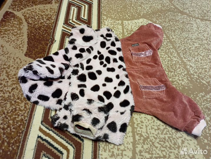 Одежда для маленьких пород собак