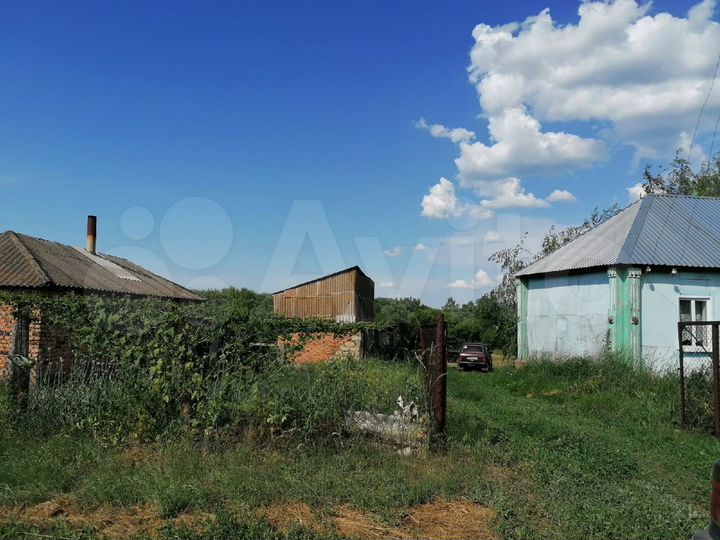 Дом 65 м² на участке 50 сот.