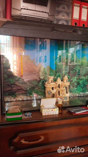 Аквариум