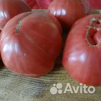 Семена крупных сортов помидор