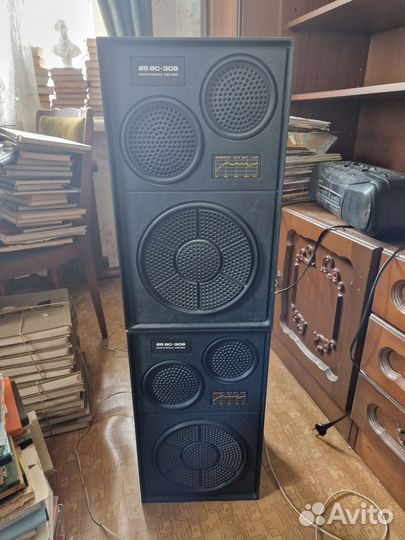 Колонки 25ас-309