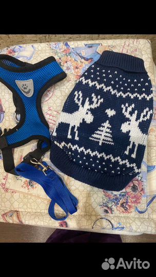 Шлейка для собаки и кофта