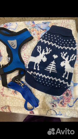 Шлейка для собаки и кофта