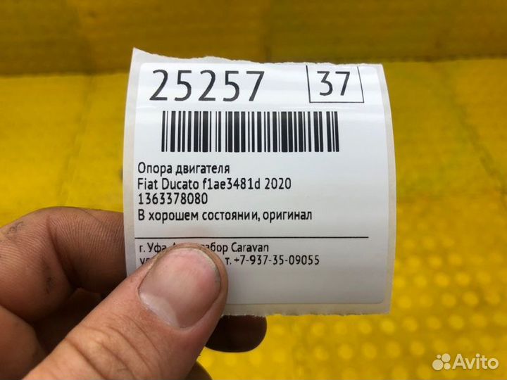 Опора двигателя Fiat Ducato F1AE3481D 2020