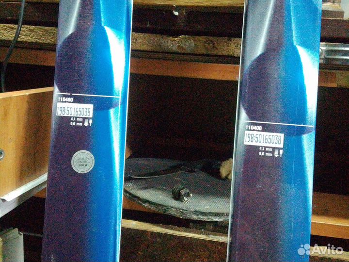 Горные лыжи