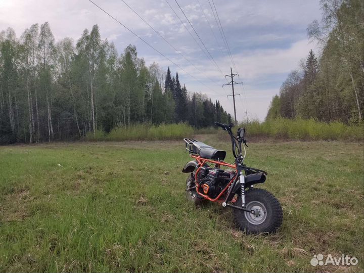 Скаут Сафари 3L-8E+