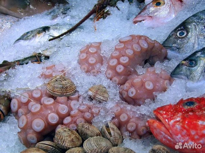 Продается готовый бизнес: морепродукты