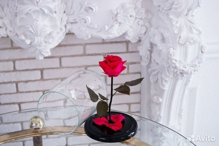 Живая роза в колбе в подарок