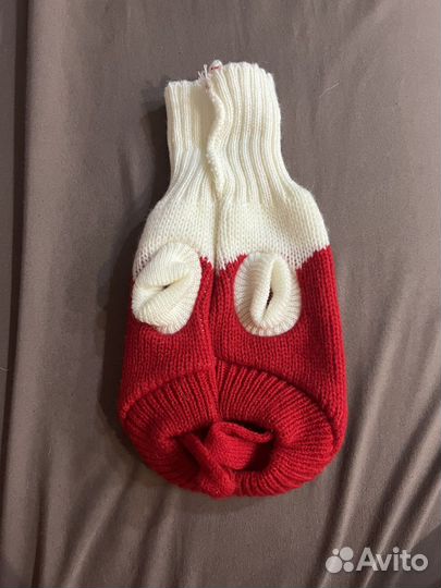 Одежда для собак