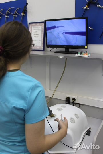 Репетитор медицина, биохимия, терапия, usmle