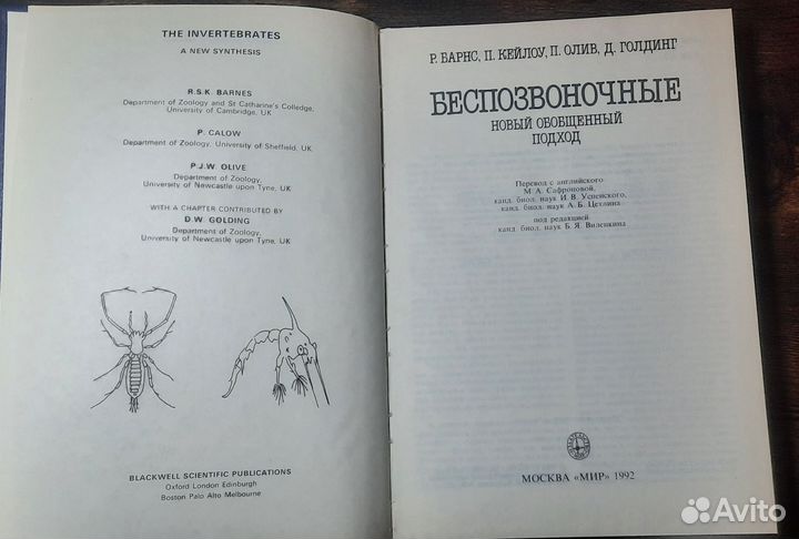 Барнс Беспозвоночные: новый обобщенный подход 1992