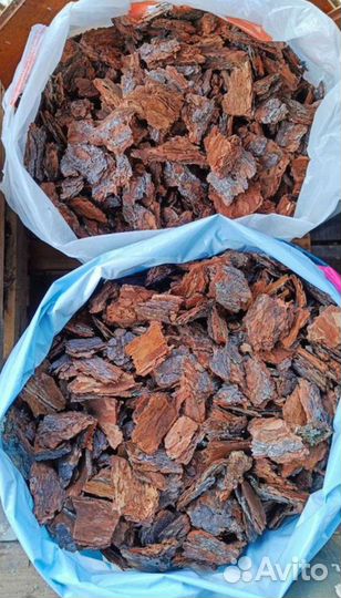 Кора сосны, продам