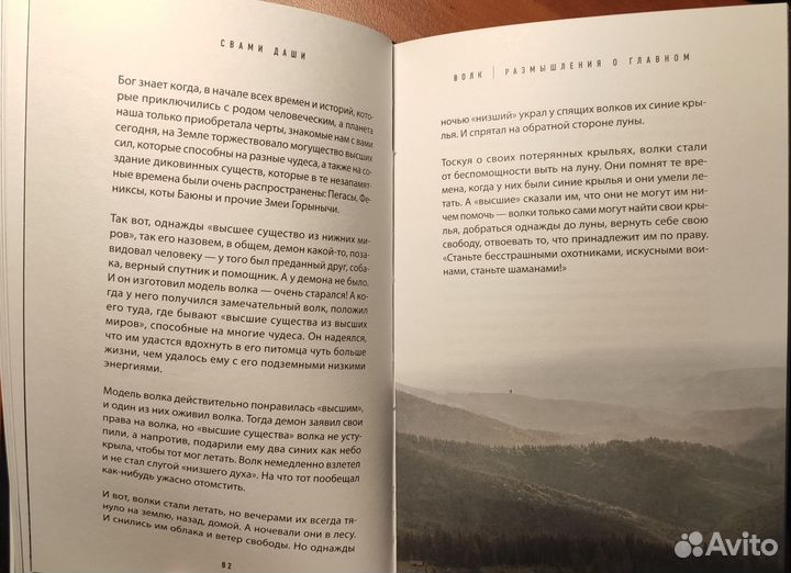 Свами Даши книга 