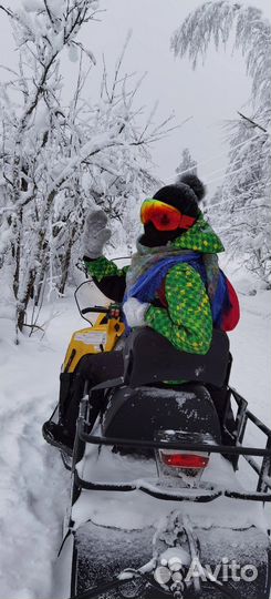 Доставка на снегоходах