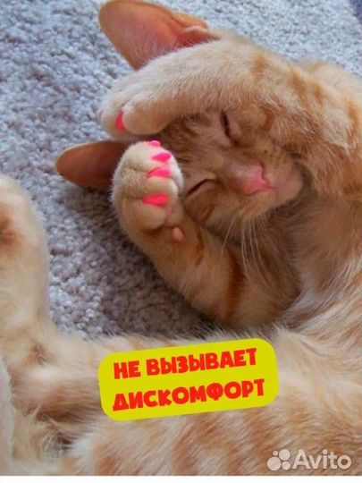 Антицарапки для кошек