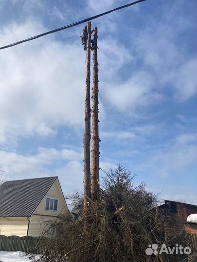 Мелкий ремонт(Мастер на час). Спил деревьев