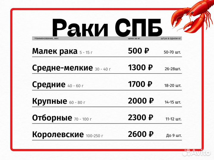 Креветка северная