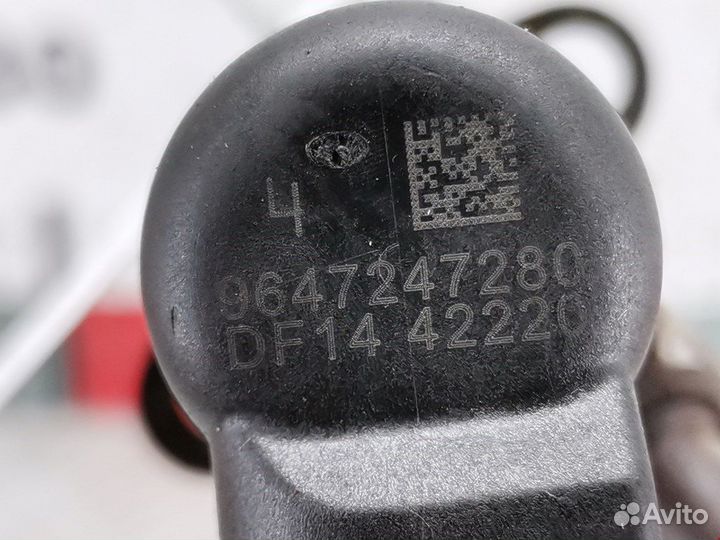 Форсунка для Peugeot-Citroen 407