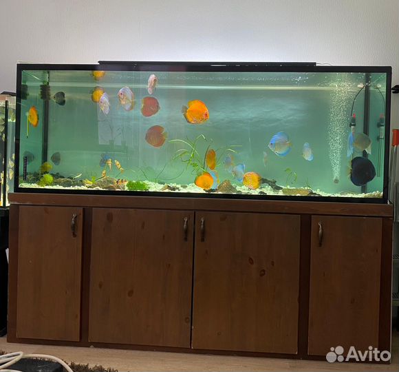 Аквариум