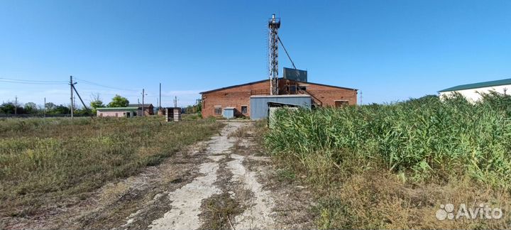 Производственная площадка, хранение, переработка