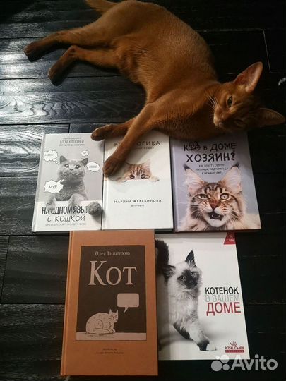 Подборка книг о психологии кошек