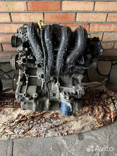 Двигатель ford 2.0 aoda