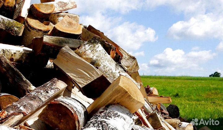 Дрова без жучков