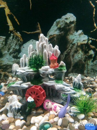 Аквариум,декор