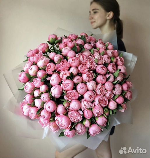 Пионы