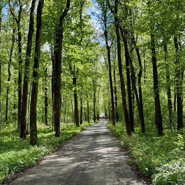 Участок 10 сот. (СНТ, ДНП)