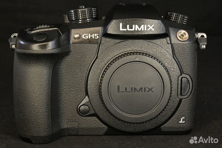 Panasonic GH5 body