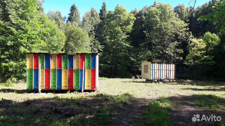 Пчелопавильон берендей на 48 семей