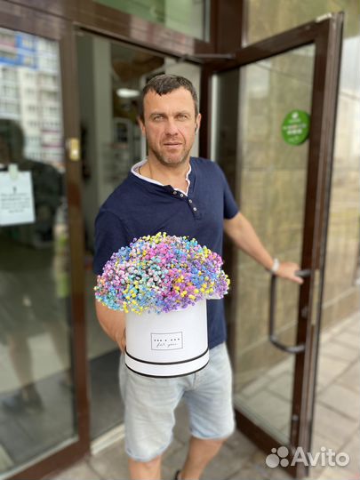 Гипсофила в коробке