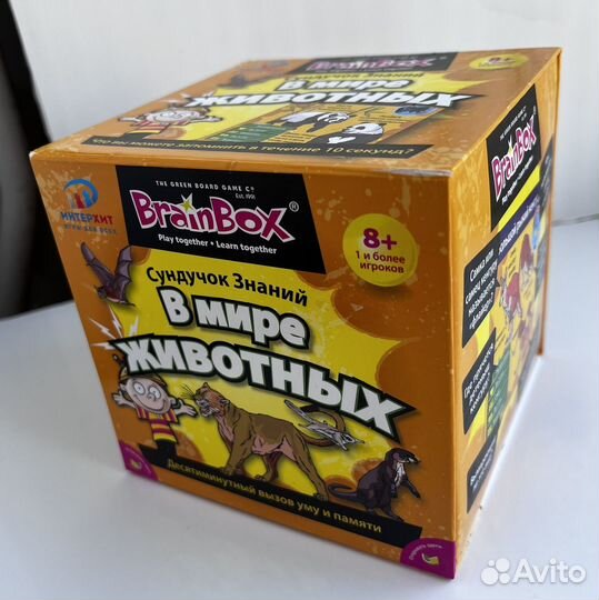 Brainbox 