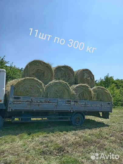 Разнотравие