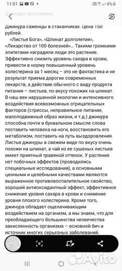 Джинура листья бога