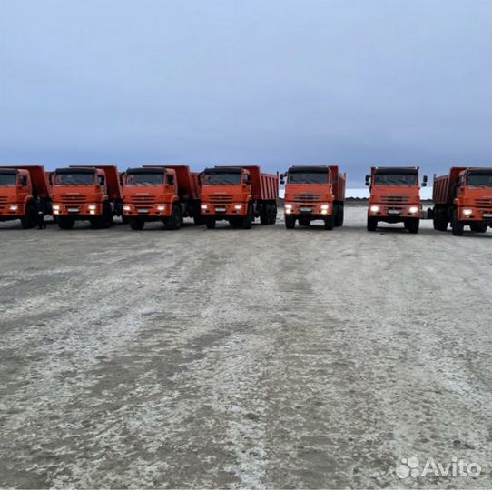 Водитель самосвала