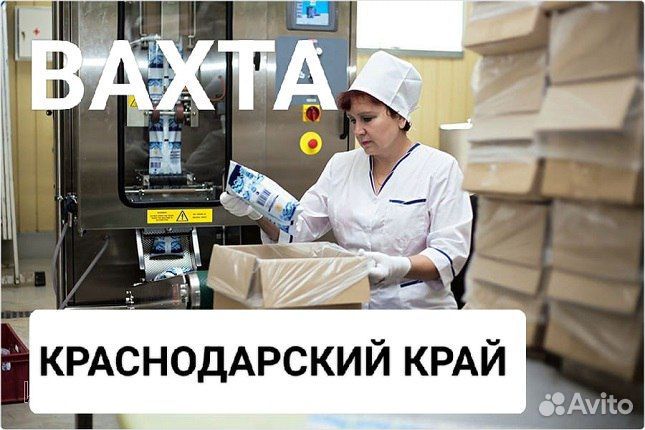 Вахта молочный завод. Укладчик