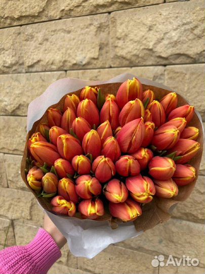 Цветы тюльпаны