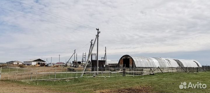 Животноводческая ферма продаю
