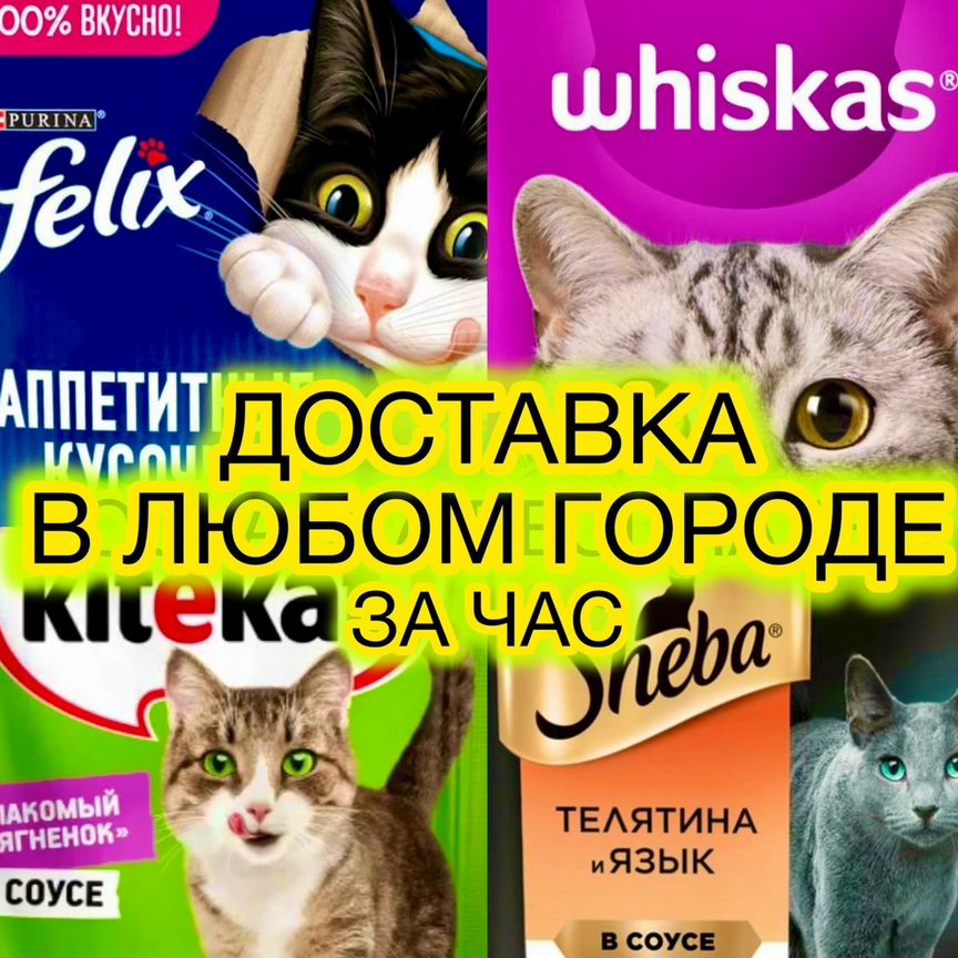 Феликс Felix Вискас Whiskas Шеба Китекет корм