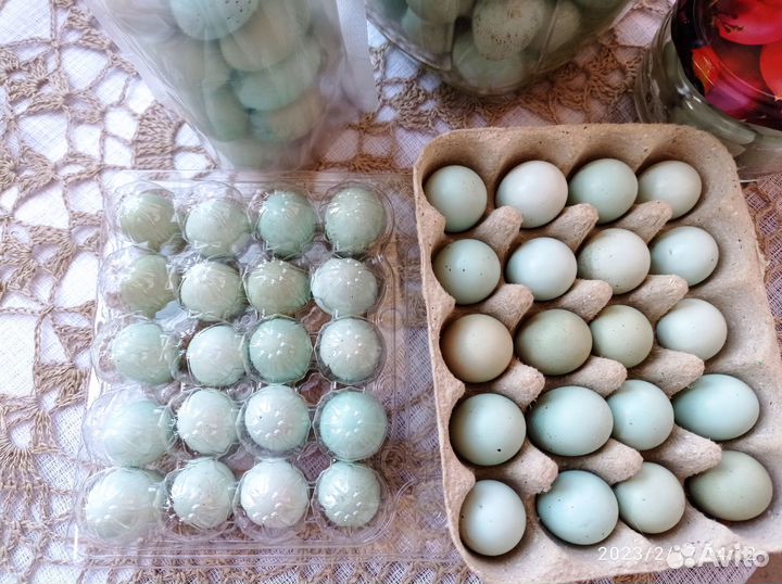 Селадон. Инкубационное перепелиное яйцо