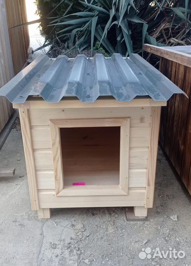 Собачья будка