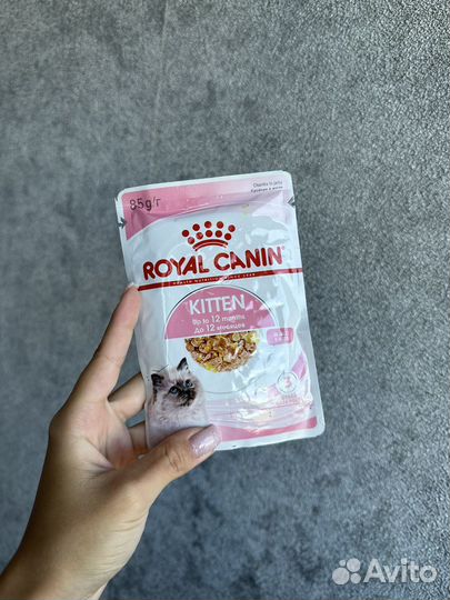 Корм для кошек royal canin
