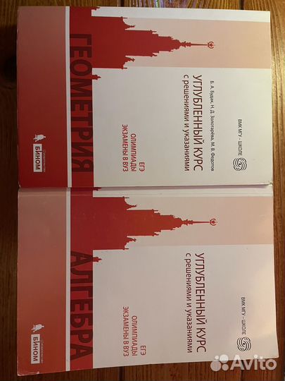 Алгебра и гемотерия, углубленный курс. Б.А. Будак