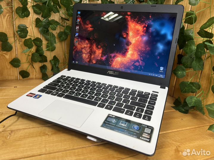 Шустрый ноутбук Asus AMD C-60/2gb/SSD/14.1