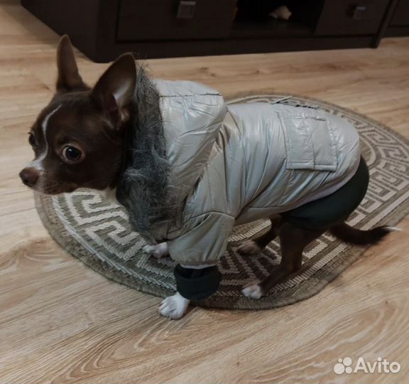 Куртка для собак мелких пород размер М